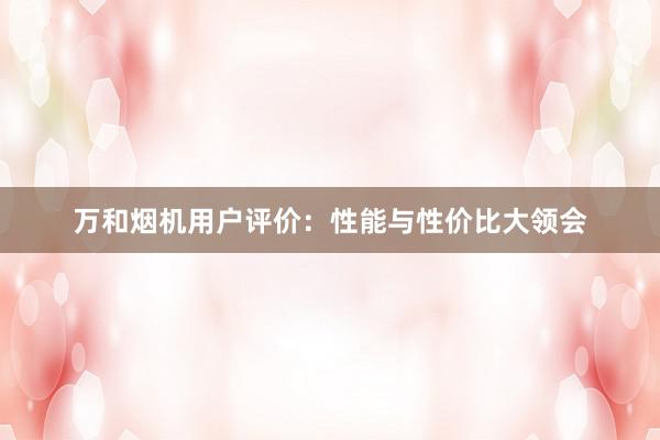 万和烟机用户评价：性能与性价比大领会